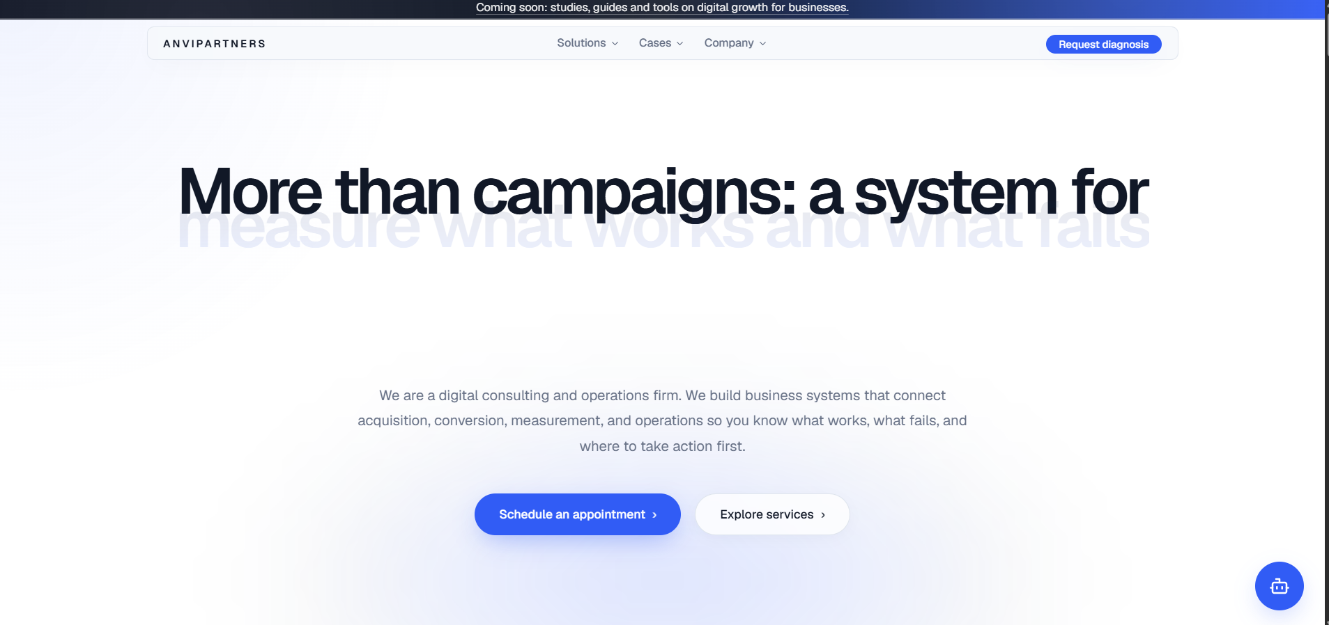Anvi Partners — website built by Sidpin